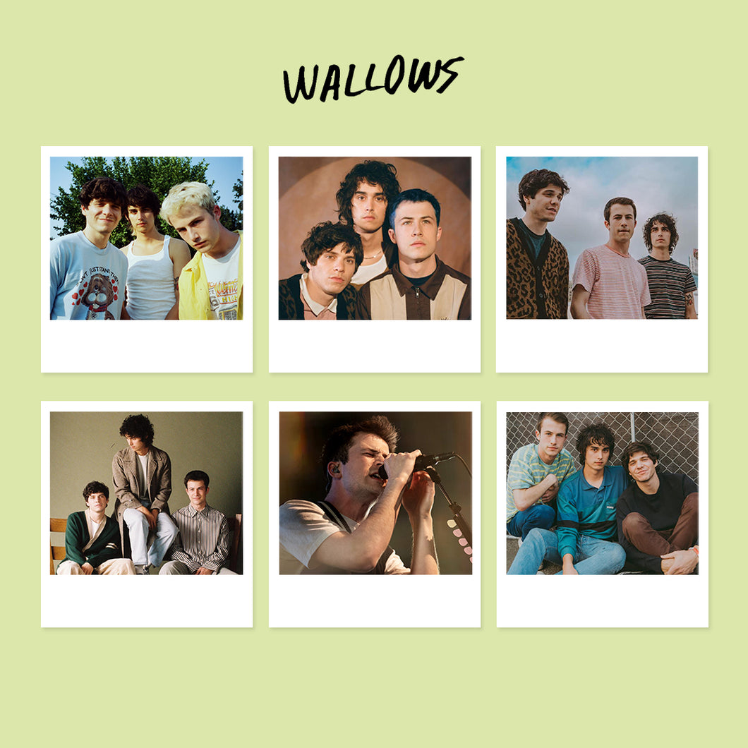 Set 6 Polaroids - Wallows
